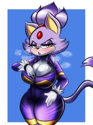blaze the cat from sega by nathanatwar