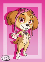 2021 anthro breasts canine collar dog_girl fanart female female_only furry googles jackintaro nickelodeon nipples paw_patrol paws pink_eyes pussy skye_(paw_patrol)