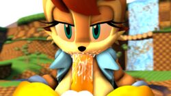 anthro black_nose brown_body cheek_tuft chipmunk close-up cum cum_in_mouth duo eyelashes fellatio female fox head_tuft male/female oral oral_sex penis pov red_hair sally_acorn sex sonic_(series) tails tan_body tuft wector yellow_body