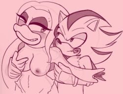 anatid anseriform anthro avian big_breasts bird bite bite_mark bite_marks_all_over bodily_fluids breast_fondling breast_play breasts bruised chaos-cuntrol darkwingslut duck duo eulipotyphlan female fondling hand_on_breast hedgehog hickey male male/female mammal nude pepita_robotnik sega shadow_the_hedgehog sonic_(series) sonic_the_hedgehog_(series) sweat sweatdrop