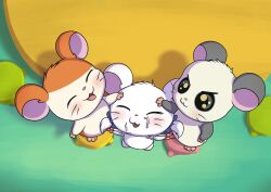 2025 absurd_res animal_genitalia animal_penis anthro bijou_(hamtaro) biped black_body blush bodily_fluids cricetid cum cum_on_face cumshot double_handjob ejaculation erection female genital_fluids genitals group group_sex hair hamster hamtaro hamtaro_(series) hand_on_head handjob hi_res high-angle_view male male/female mammal minum multicolored_body nude open_mouth open_smile orange_body panda_(hamtaro) penile penis pink_nose rodent round_ears sex short_hair smile threesome trio twintails two_tone_body whiskers white_body white_hair