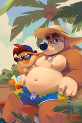 2020s 2021 2boys anthro banjo-kazooie banjo_(banjo-kazooie) beach bear belly belly_button big_eyebrows bushy_eyebrows crash_(series) crash_bandicoot crossover detailed detailed_background drink eclipsewolf fur furry male male_only nipples pool pubic_hair summer swimming_trunks