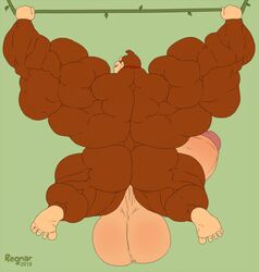 abs anthro biceps bodybuilder donkey_kong donkey_kong_(series) furry furry_only heavy_balls hyper hyper_balls hyper_genitalia hyper_muscles hyper_penis hyper_testicles low_hanging_testicles male male_focus male_only muscle muscles muscular muscular_anthro muscular_arms muscular_ass muscular_back muscular_legs muscular_male muscular_thighs nintendo nipples pecs regnar solo solo_male veins veiny_penis