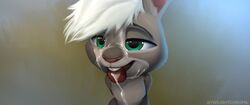 anthro buckteeth cum cum_on_face disney facial fan_character female flat_chest green_eyes grey_body grey_fur half-closed_eyes open_smile pink_nose rabbit tongue_out twilightchroma white_hair zootopia