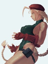 cammy_white mon_eree source_request street_fighter thick_hips wide_hips