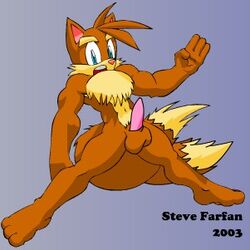 Sonic (Series) Rule 34 Image