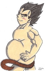 2008 cowcat44 dragon_ball dragon_ball_z male male_only male_pregnancy mpreg nude solo straight_hair tagme vegeta what