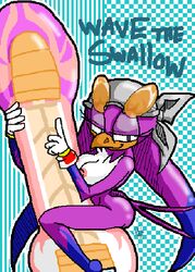 anthro female female_only hover_board hoverboard solo sonic_(series) sonic_riders swallow tagme wave_the_swallow