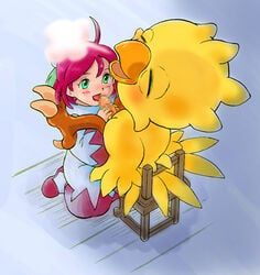 chocobo chocobo's_dungeon chocobo's_dungeon final_fantasy shirma_magnolie white_mage