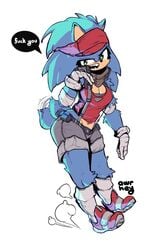 1girls alternate_costume anthro awr_hey bandana blue breasts female furry headband headphones hedgehog hips mtf_crossgender mtf_transformation rule_63 sega shoes shorts socks solo sonic_(series) sonic_boom sonic_the_hedgehog sonic_the_hedgehog_(series) sonique_the_hedgehog tagme tail tail_wagging tanktop vuglar