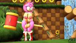 1futa 3d 3d_(artwork) amy_rose anthro biped boots breasts eyelashes furry futa_only futanari green_eyes green_hill_zone hammer hedgehog heel_boots large_balls large_penis looking_away naked_boots naked_footwear naked_with_shoes_on nipples nologo nude nude_futanari pink_body pink_hair solo sonic_(series) source_filmmaker