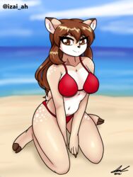 <3_eyes 1girls 2021 anthro anthro_only beach big_breasts bikini breasts brown_eyes brown_hair doe_(alfa995) female female_only hair highres izai_ah izaiah_(artist) long_hair navel sitting smile solo solo_female