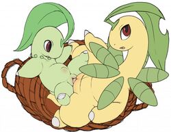 2021 bayleef chikorita duo female female_penetrated feral feral_on_feral feral_penetrated feral_penetrating feral_penetrating_feral genitals male male/female male_penetrating male_penetrating_female nintendo nude penetration penile penile_penetration penis penis_in_pussy pokémon_(species) pokemon pokemon_(species) pussy stomach_bulge tricksta vaginal_penetration video_games