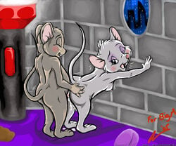 2005 anthro bernard_(the_rescuers) disney female male miss_bianca mouse nipples penis sex straight tagme the_rescuers