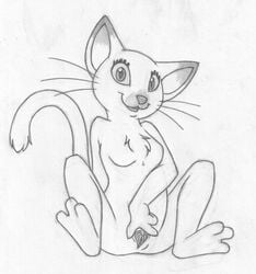 animal_genitalia anthro blinx_the_time_sweeper catherine_(blinx) furry tagme