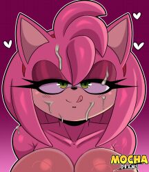 amy rose from sega by cross samax