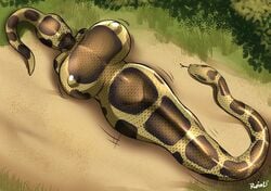 1girls artist_name breasts covered_navel huge_breasts inside_stomach outdoors rupie_(artist) snake snake_vore stomach_bulge tagme vore