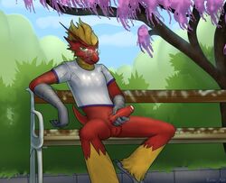 absurd_res anthro avian balls bench bird blaziken bottomless chicken clothed clothing crotch_tuft ember_(oc) eoss_air erection eyewear fluffy_balls foreskin galliform gallus_(genus) genitals glasses hi_res humanoid_genitalia humanoid_penis looking_at_viewer male male_blaziken male_pokemon nintendo park penis phasianid pokemon pokemon_(species) presenting retracted_foreskin solo spread_legs spreading tail_tuft tuft uncut video_games