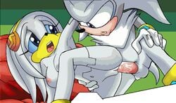 animated bbmbbf breasts echidna eyelashes female from_behind hedgehog male motion_tweening nipples open_mouth penis sega silver_the_hedgehog sonic_(series) straight terrenslks vaginal_penetration zeta_the_echidna