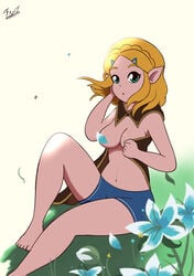 breath_of_the_wild censored_breasts convenient_censoring fantharubi female nipple_censor princess_zelda solo tears_of_the_kingdom the_legend_of_zelda topless zelda_(tears_of_the_kingdom)