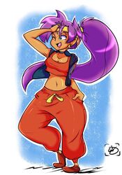 1girls cleavage curvy female female_only female_protagonist genie long_hair midriff ponytail purple_hair shantae shantae_(character) smooth_skin solo stunnsfw tan tan_skin tanned tanned_skin wayforward