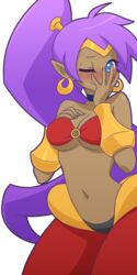 1girls color colored dark-skinned_female dark_skin female female_only fully_clothed manyakis shantae shantae_(character) smooth_skin solo tagme tan tan_body tan_skin