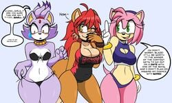 3girls amy_rose big_ass big_breasts big_butt bimbo blaze_the_cat bubble_ass bubble_butt darkwolfhybrid melina_the_fox name_drop sonic_(series) sonic_oc sonic_the_hedgehog_(series) swimwear wide_hips