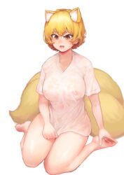 absurdres alternate_costume animal_ear_fluff animal_ears areolae bangs barefoot blonde_hair blush breasts chanta_(ayatakaoisii) covered_nipples eyebrows_visible_through_hair feet female fox_ears fox_tail full_body hair_between_eyes highres horny large_breasts looking_down multiple_tails nose open_mouth puffy_nipples ran_yakumo see-through shiny shiny_hair shiny_skin shirt shirt_tug short_hair short_sleeves sidelocks silver_hair simple_background sitting slit_pupils soles solo sweat sweatdrop t-shirt tail thighs toes touhou wariza wet wet_clothes wet_shirt white_background yellow_eyes