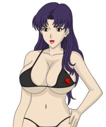 1girls bikini brown_eyes dragexd female female_only large_breasts long_hair misato_katsuragi neon_genesis_evangelion purple_hair solo swimsuit tagme