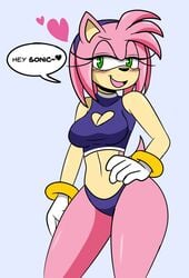 amy_rose darkwolfhybrid name_drop sonic_(series) sonic_the_hedgehog_(series) swimsuit