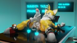 tails the fox from sega by twintails3d