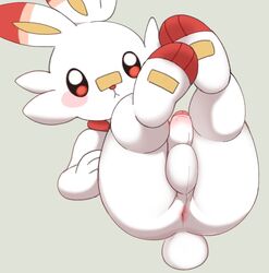 :< anus ass blush bunny bunny_ears bunny_tail cute cute_face feet feet_up feral fur furry furry_only glans male male_only nintendo penis pokémon_(species) pokemon pururing rabbit red_eyes scorbunny solo tail white_body white_skin