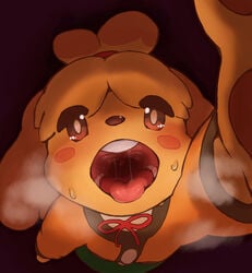 anakitsune animal_crossing anthro dog furry imminent_vore isabelle_(animal_crossing) mawshot mouth_shot nintendo open_mouth pov teeth tongue vore