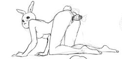 Haru (Beastars) Rule 34 Image
