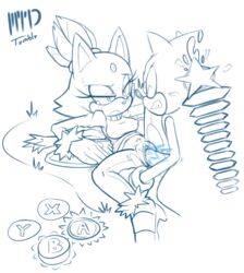 blaze the cat from sega by marthedog