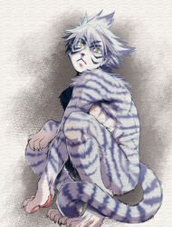 Furry Rule 34 Image