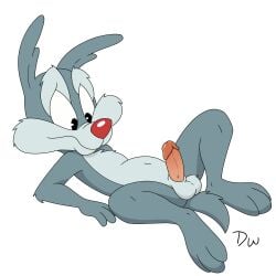 calamity coyote from tiny toon adventures by darkwolf79