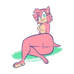 amy rose from sega by mythabyss