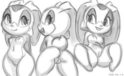 anthro ass cream_the_rabbit female genitals lagomorph leporid looking_at_viewer mammal monochrome nipples nude presenting pussy rabbit sega solo sonic_(series) spread_legs spreading thick_thighs wide_hips xylas