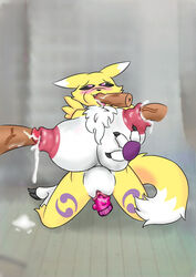 big_belly bulge digimon digimon_(species) inflation nipple_fucking nipple_penetration nipples renamon reomm sex_toy