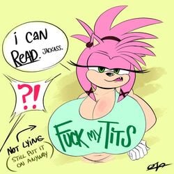 amy_rose anthro big_breasts breasts cleavage clothed clothing dialogue eulipotyphlan female green_eyes hair hedgehog hi_res huge_breasts looking_at_viewer mammal narrowed_eyes offscreen_character open_mouth ota_(artist) pink_hair sega shirt solo sonic_(series) sonic_prime text thorn_rose topwear