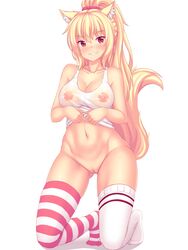 1girls animal_ears asymmetrical_legwear blonde_hair cat_ears cat_tail catgirl navel orange_eyes ponytail possible_duplicate see-through_clothing smiles socks solo striped_socks tagme tail tiffy tiffynyaa uncensored