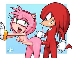 1boy 1girls against_wall amy_rose anthro areolae bracelet breasts cum female from_behind furry green_eyes knuckles_the_echidna loodncrood male nipples nude open_mouth penis pink_fur purple_eyes red_fur sex small_breasts smile smirk sonic_(series) standing_sex straight tail tail_grab tail_hold tongue_out