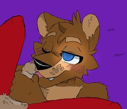 foxy (fnaf) from five nights at freddy's