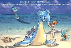 beach gyarados human interspecies kasumi_(pokemon) lapras nintendo pokemon pokephilia star staryu turtle wartortle