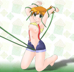 Kasumi (Pokemon) Rule 34 Image
