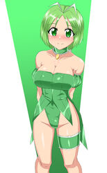 big_breasts blush breasts cleavage female female_only leotard lettuce_midorikawa magical_girl mew_lettuce midorikawa_lettuce obakenorururu solo tokyo_mew_mew