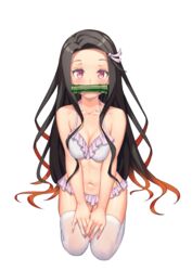 bikini black_hair demon_slayer female female_only gag hair_ribbon kamado_nezuko kimetsu_no_yaiba kneeling konishi_(565112307) long_hair looking_at_viewer mouth_gag pink_bikini pink_eyes solo swimsuit thighhighs transparent_background two_tone_hair white_thighhighs zettai_ryouiki