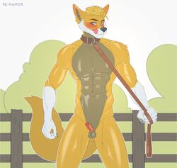 absurd_res anthro balls blake canine canine_penis collar dominant genitals hi_res kumir leash leash_pull male muscular muscular_anthro muscular_male penis small_balls small_penis small_penis_adoration solo tongue_out