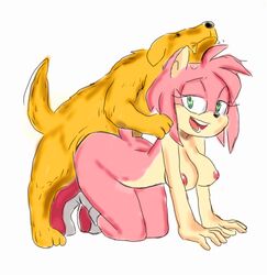 amy_rose anthro canine doggy_style fake female feral male sonic_(series) sonic_the_hedgehog_(series) zoophilia